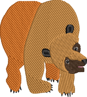 Brown Bear
